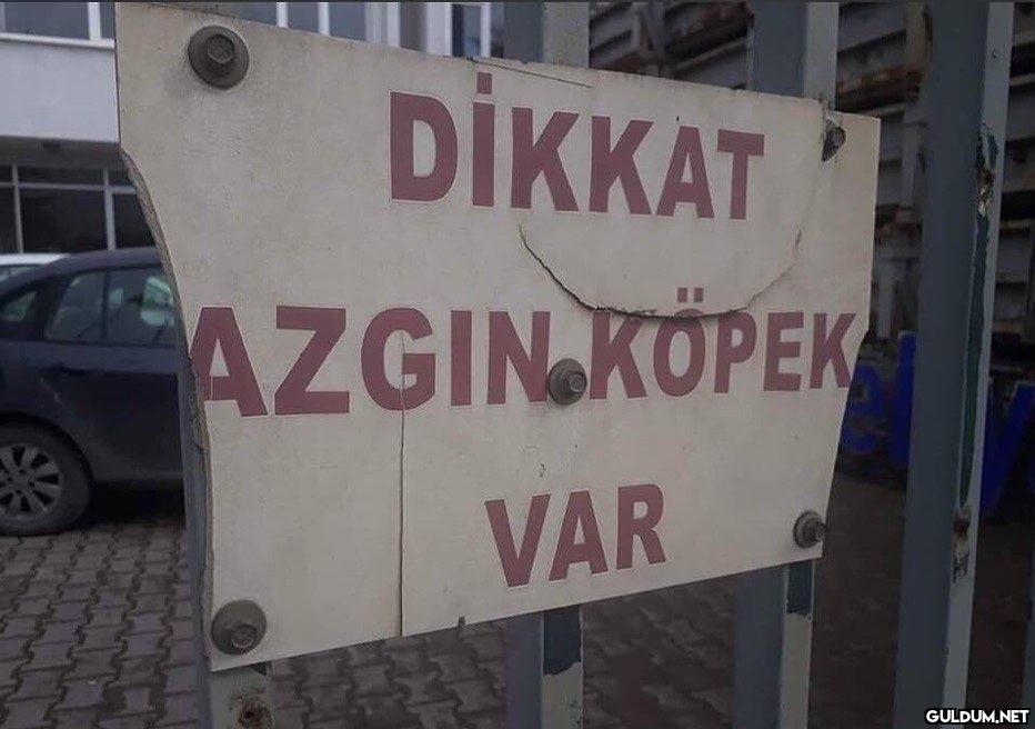 tag your azgın köpek...