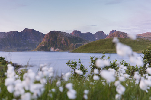 stephaniedolen: sunset, kvalvika beach trail