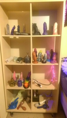 dominavi:  New and improved dildos shelves