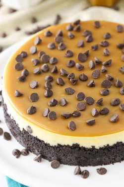 foodffs:  CARAMEL CHOCOLATE CHIP CHEESECAKEFollow for recipesGet your FoodFfs stuff here