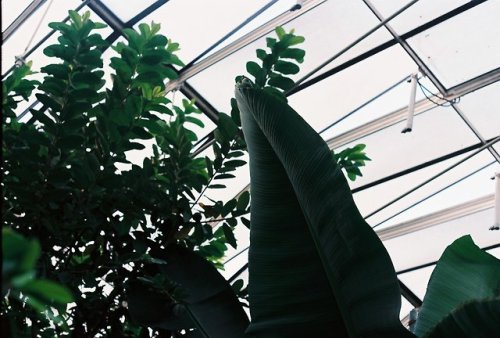Wilhelma Zoo, Stuttgart, Deutschland | August 2018 Instagram | VSCO