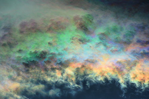 XXX awkwardsituationist:  cloud iridescence — photo