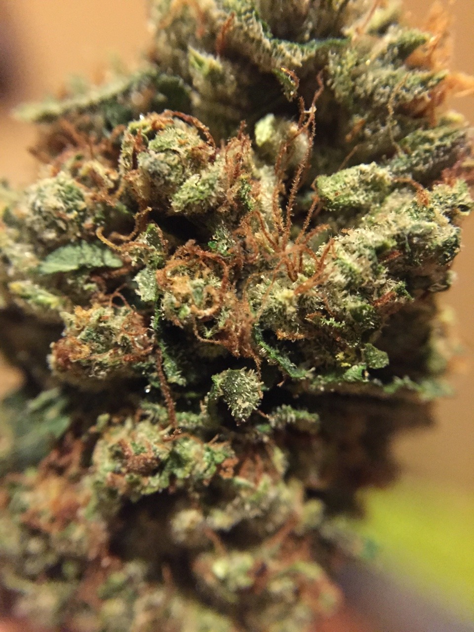 veraisastoner:  Let FriHIGHday begin ✨