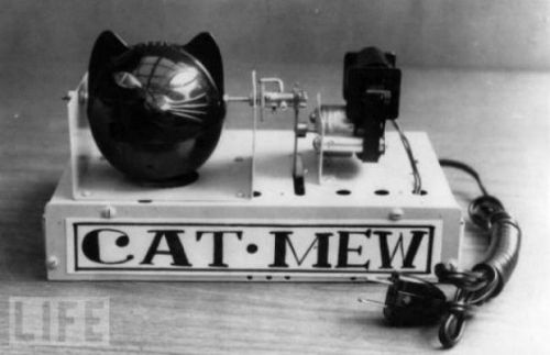 1963: Cat Mew meowing machine (in hopes to scare away mice)