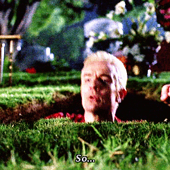 Poor, poor Spike…
