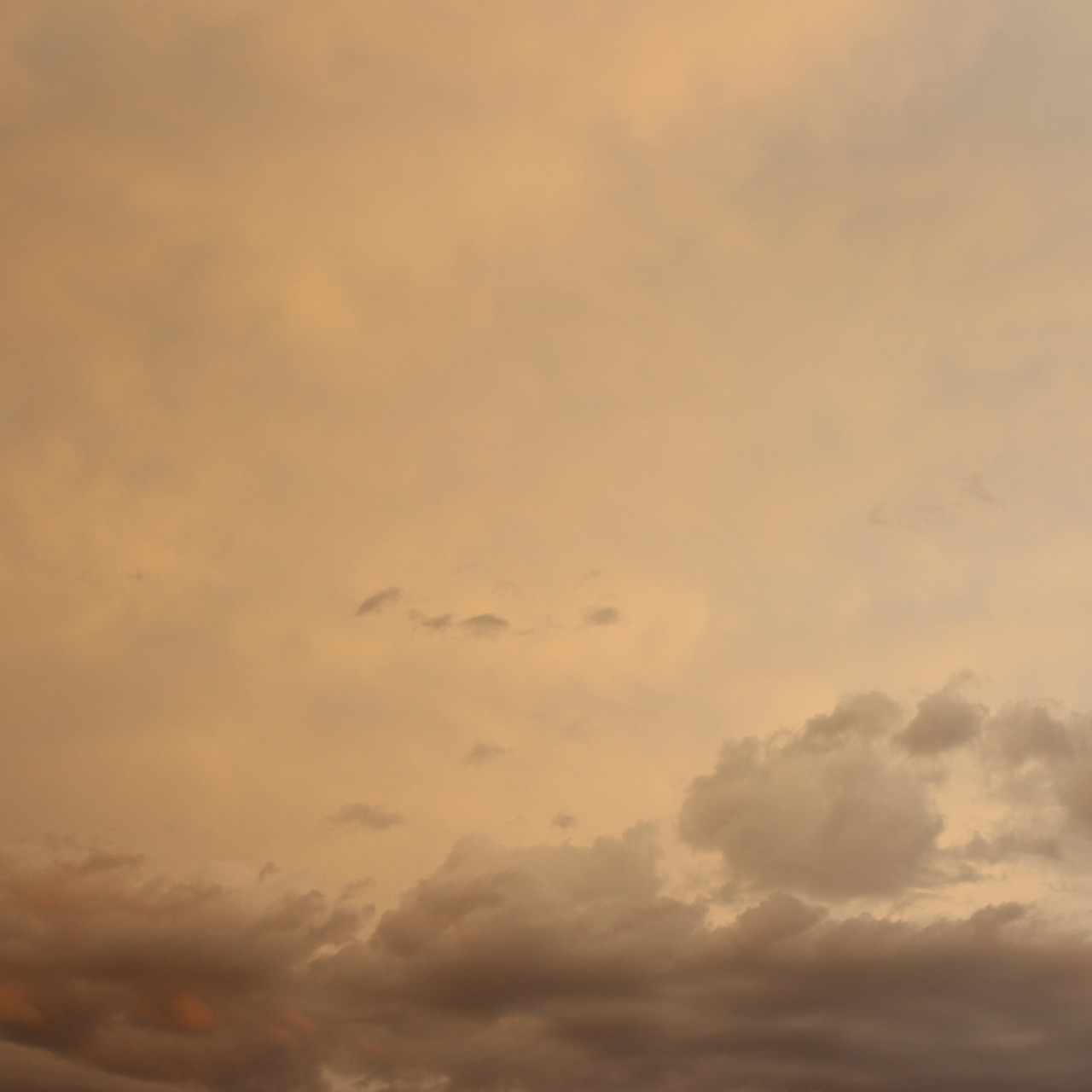 finehoney:can you believe the sky Did That