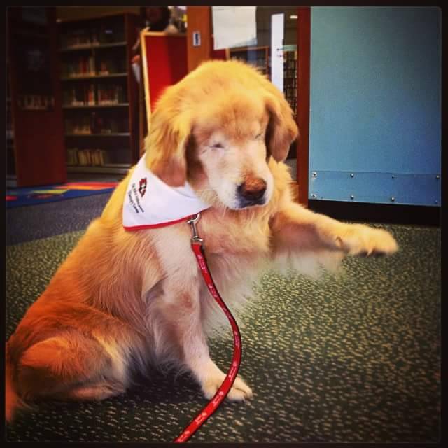 awwww-cute:This is Smiley, he belongs to a friend of mine. He is a child therapy
