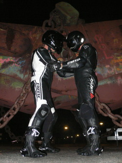 dainesekl:  Dainese vs Dainese…   Woof woof