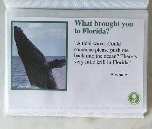 prison-mikes-bandana:A guy made a fake guide book about reasons why people visited Florida and they are far better than real reasons why people visit Florida!!!!’