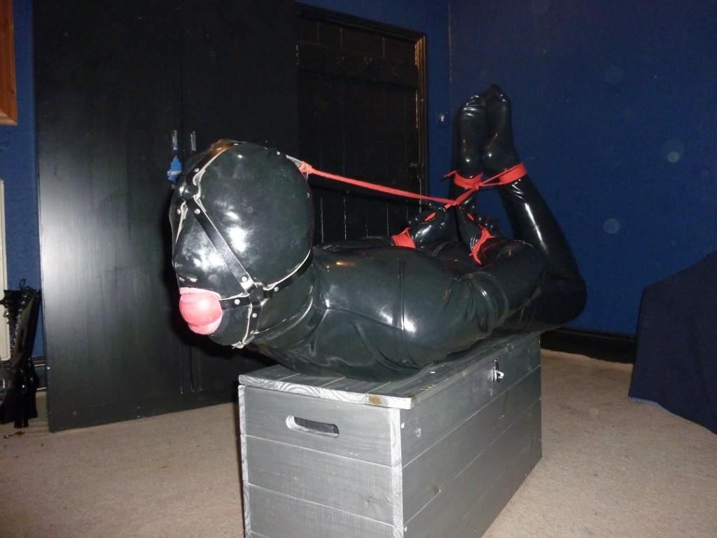 rubberpigboys:  Still my favorite