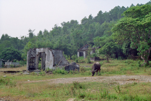 Vietnam, 2017