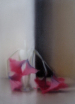 likeafieldmouse:  Gerhard Richter - Flowers (1994)