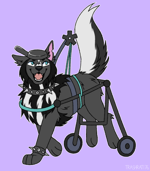 Commissions For Someone On Discord Of Their Lovely Aj Arctic Wolf Characters!
