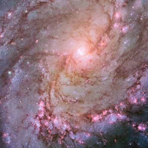 M83 (HST)