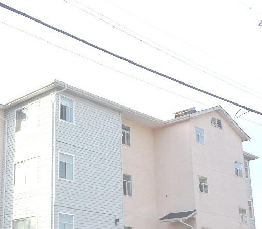 mirukeu-senpai:  ðŸ  