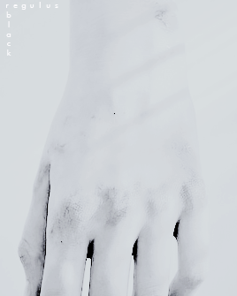 eucalles: slytherins: regulus black To the Dark LordI now I will be dead long before you read this b