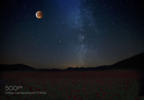 red moon by marveros