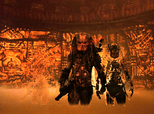 thequantumranger:   🎃🧼👏 Halloween in the Quarantine 🏡😷👻 Predator 2 (1990) 