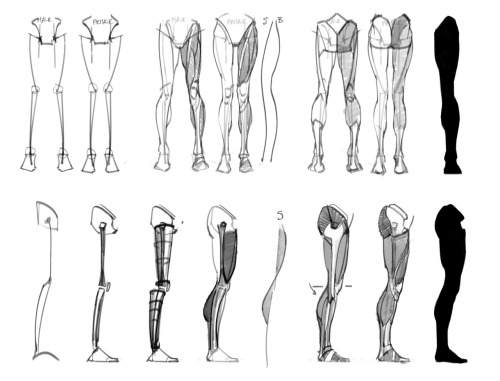 anatoref:  Drawing Legs  Row 1: Left, Right  Row 2Row 3Row 4 (Source Unknown)Row 5Row 6Row 7 