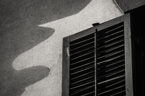 Roof Shadows and Shutter, Charleston, SC© Doug Hickok   More here…   hue and eye tumblr
