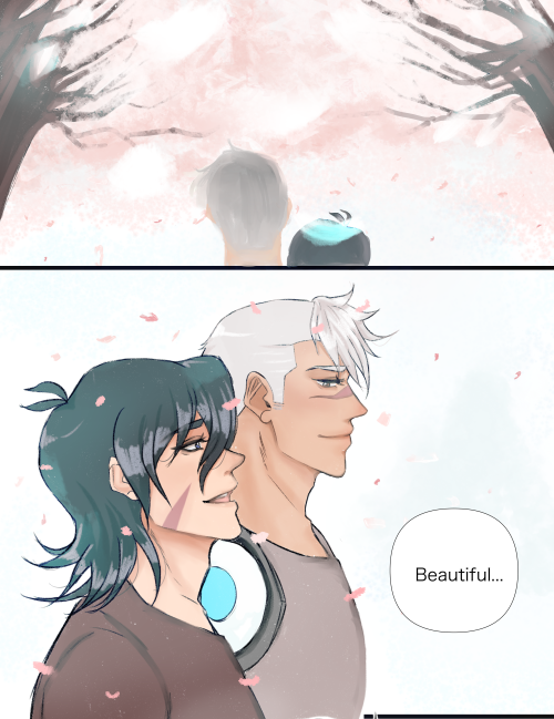Shiro takes Keith to see the cherry blossoms 