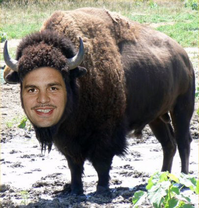 markruffalo:  aos-skimmons:  so I was thinking that mark ruffalo sounds a lot like mark buffalo, and then i decided that i obviously wasn’t going to be the only one who thought about this. so i typed ‘ruffalo the buffalo’ into google images and