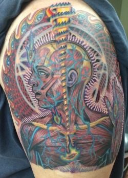 TOOL lateralus ink