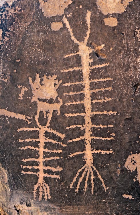 humanoidhistory: Petroglyphs of Giant Desert Centipedes (Scolopendra heros) carved into rock in Kane