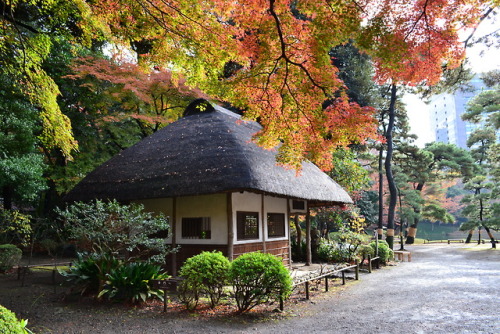 小石川後楽園I went to Koishikawakorakuen (say that five times fast) last week. The autumn leaves were stil