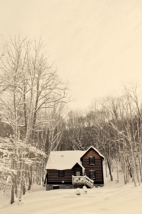 r2–d2:  banner Elk Cabin by (strawberrygoldie) 