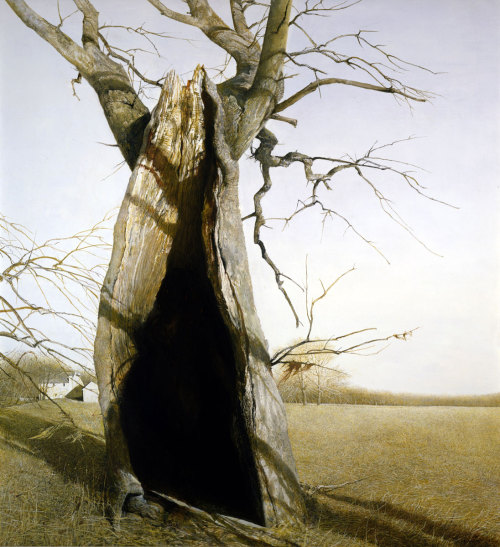 crystalline-aesthetics: Andrew Wyeth   Dryad.