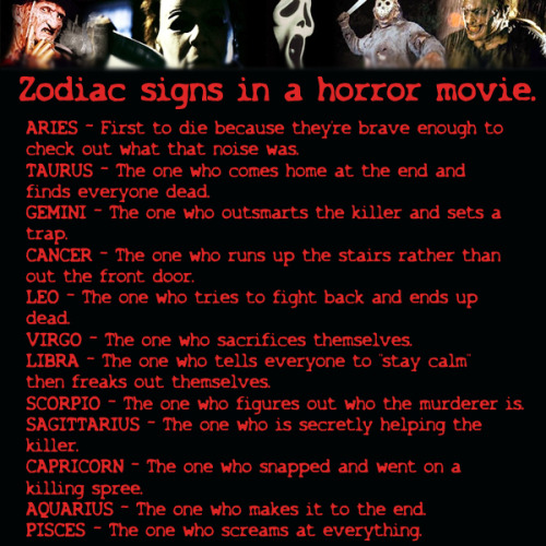 wiccateachings:  If the zodiac signs were in a horror movie.   Aquarius, bitches! WE DON’T DIE!