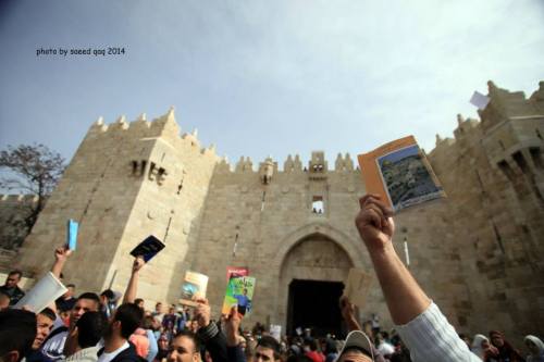 thepalestineyoudontknow: About than 7,000 Palestinians gathered in the longest reading human chain a