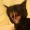 kiaxet:  iamanemotionaltimebomb:  drakosclaw:  Yeah a lot happened but can we appreciate