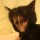 kiaxet:  iamanemotionaltimebomb:  drakosclaw:  Yeah a lot happened but can we appreciate