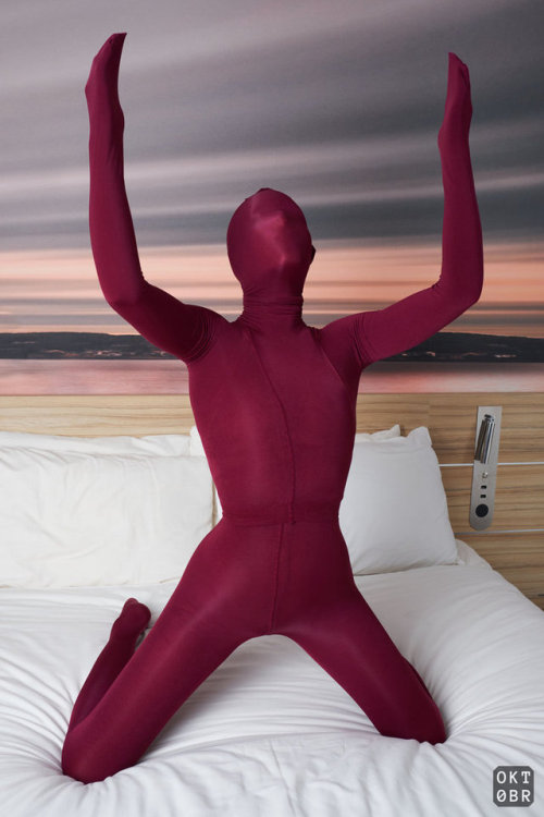 dani–opaque: Burgundy Encasement
