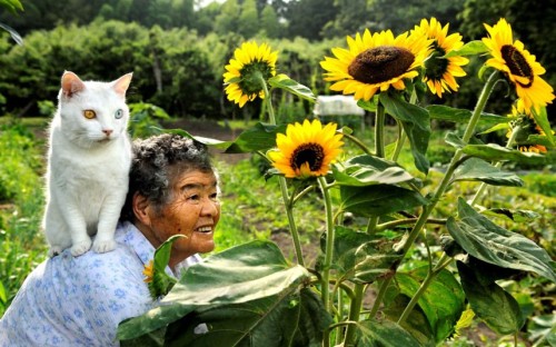 Nine years ago, Japanese photographer Miyoko Ihara began snapping pictures of the relationship between her grandmother and her odd-eyed white cat. Miyoko’s grandma Misao found the abandoned cat in a shed on her land and the pair have barely been apart