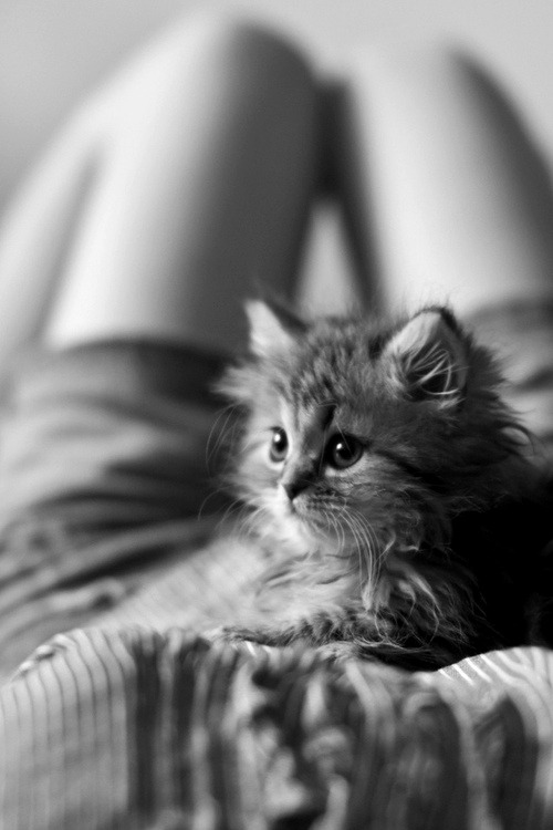 Black 'n' White