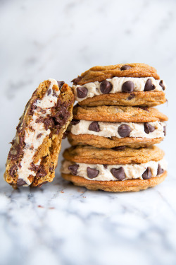 do-not-touch-my-food:    Chocolate Chip Cookie