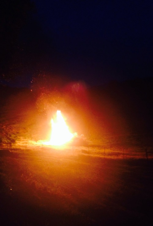 buckwildbarrelracer:  Well that was a fun night  Looks like an amazing night to me