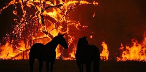 HELP US! TURKEY IS BURNING