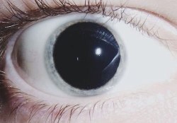 la-lunaxo:  menthol-smoke:  acidic-child:  Grunge Blog†♡  ☯☽Click here to enter my fucking fab giveaway☾☯  My eyelashes are longer than your dick☾✟♡