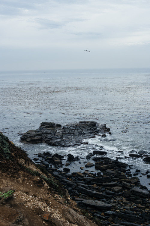 christophermfowler:San Pedro | Los Angeles, CA | January 2018