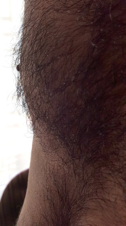 hairydaddy