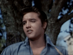 Itsnowornever1950:  Loving You (1957) 