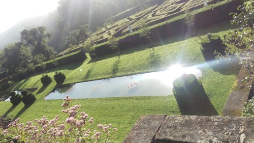 Le jardin du Grand Chateau d’Ansembourg au Luxembourg