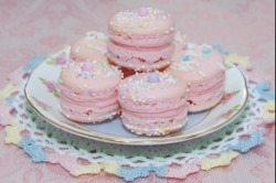 ciaaaaraa98:  French macaron