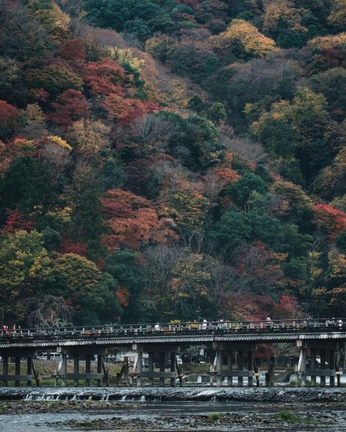 Autumn Color of Arashiyama 出しそびれてた嵐山の紅葉。 いまはちょうど花灯路やってますね。 そういや、しばらく行けてません。 #京都 #嵐山 #渡月橋 #FUJIFILM #