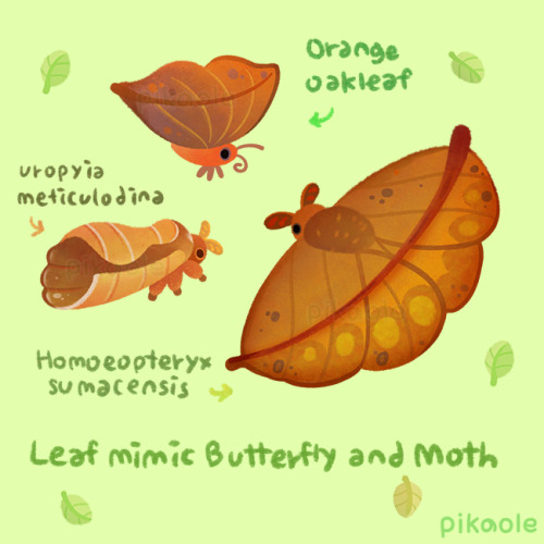 pikaole: Leaf mimics [ Patreon / shop / galaxy themes / insta ]