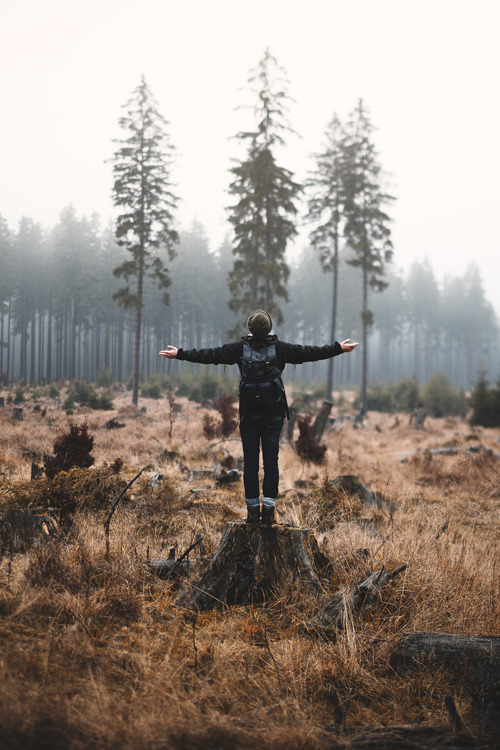 plasmatics-life:  Catch the Nature - {by Steven Ritzer} | {WebSite}